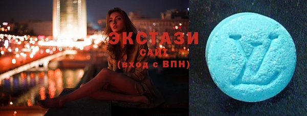 индика Верхний Тагил