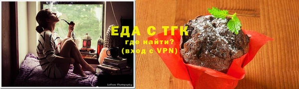 тгк Бородино