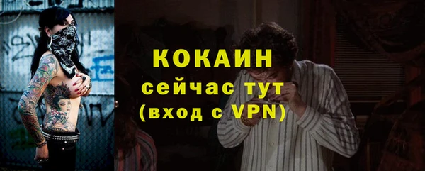 шишки Бронницы