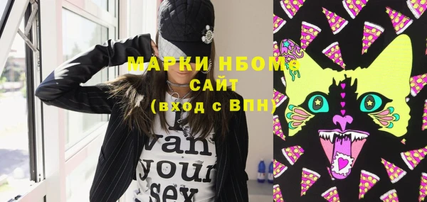 индика Верхний Тагил