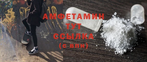 индика Верхний Тагил