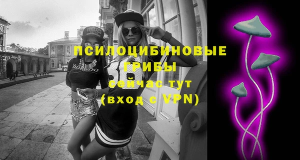 индика Верхний Тагил