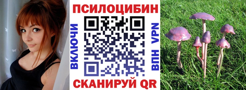 Псилоцибиновые грибы Magic Shrooms  гидра зеркало  Старица 